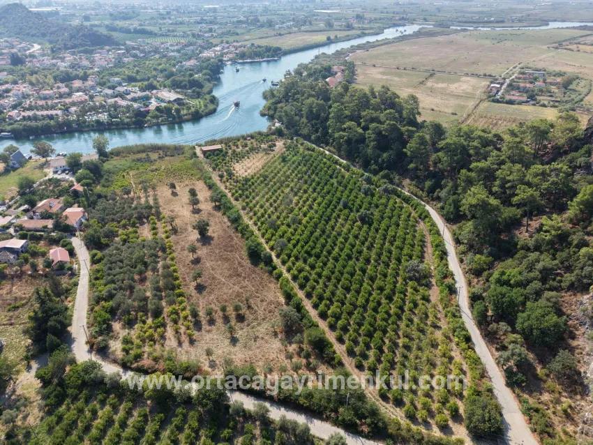Feld Zu Verkaufen in Çandır Bz. Köyceğiz - Feld-Zonierung - 20.000 m²