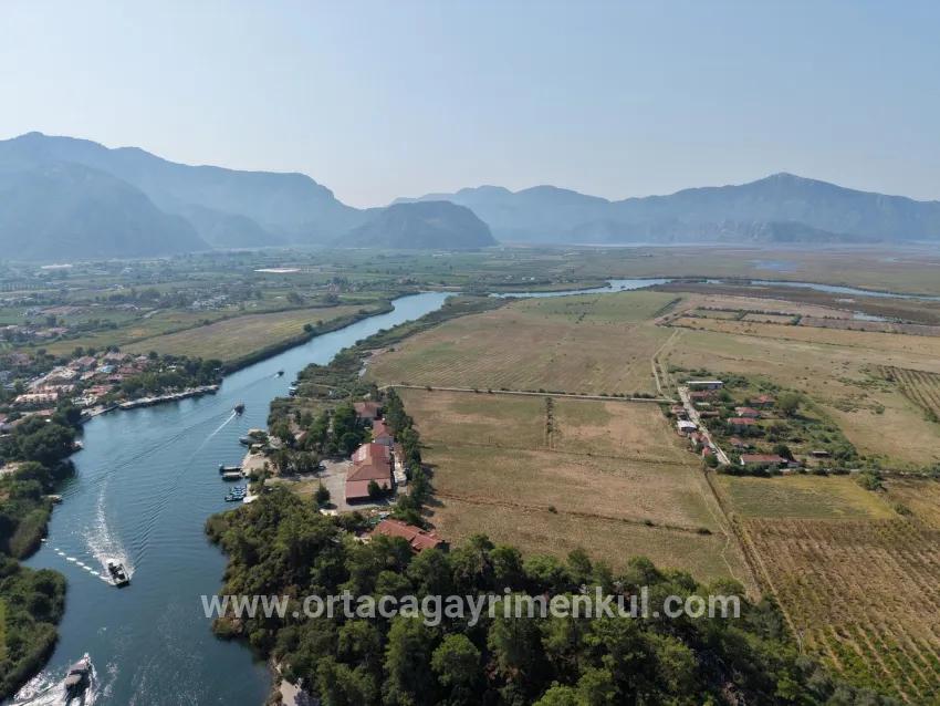 Feld Zu Verkaufen in Çandır Bz. Köyceğiz - Feld-Zonierung - 20.000 m²