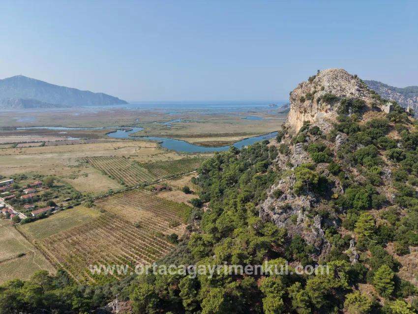 Feld Zu Verkaufen in Çandır Bz. Köyceğiz - Feld-Zonierung - 20.000 m²