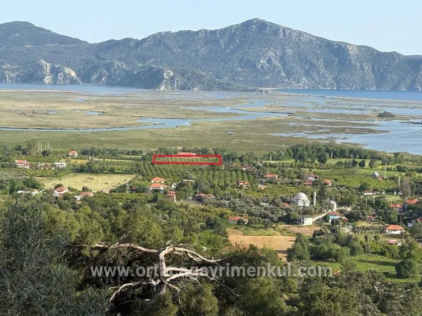 Feld Zu Verkaufen in Çandır Bz. Köyceğiz - Feld-Zonierung - 1.252 m²