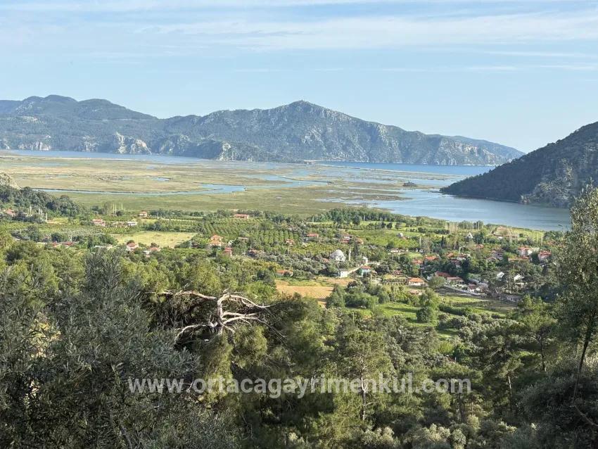 Feld Zu Verkaufen in Çandır Bz. Köyceğiz - Feld-Zonierung - 1.252 m²