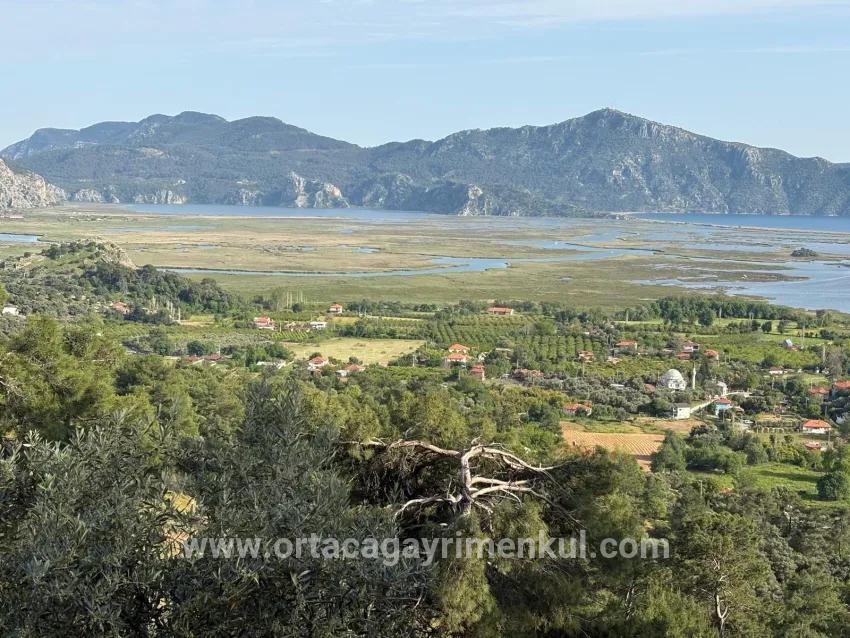 Feld Zu Verkaufen in Çandır Bz. Köyceğiz - Feld-Zonierung - 1.252 m²