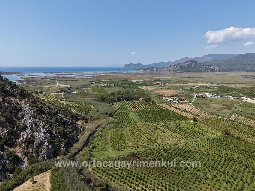 Feld Zu Verkaufen in Dalyan Bz. Ortaca - Feld-Zonierung - 20.786 m²