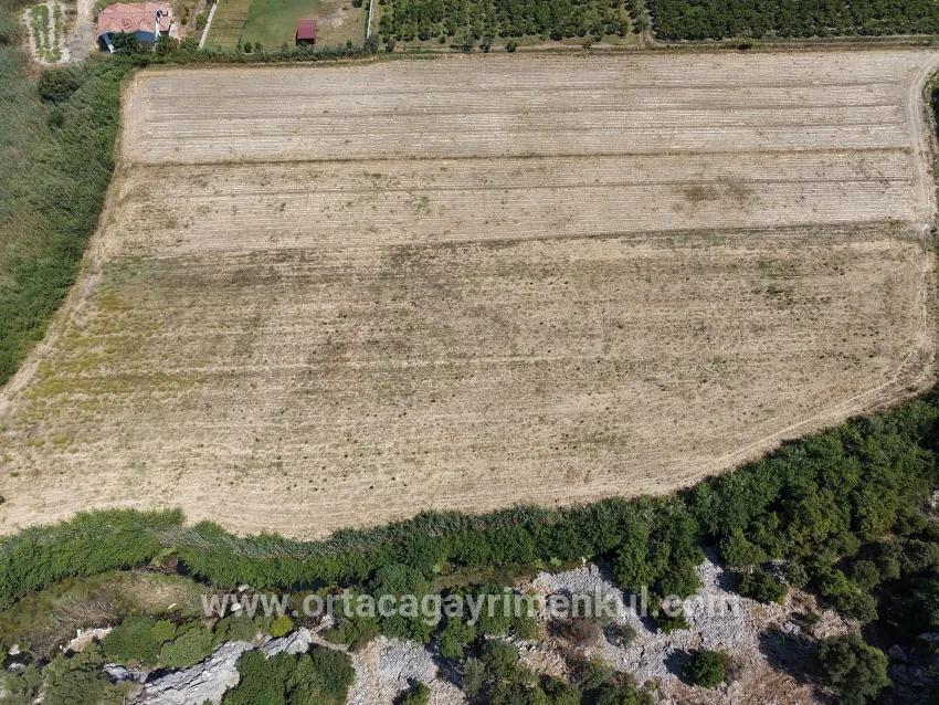 Feld Zu Verkaufen in Dalyan Bz. Ortaca - Feld-Zonierung - 20.786 m²