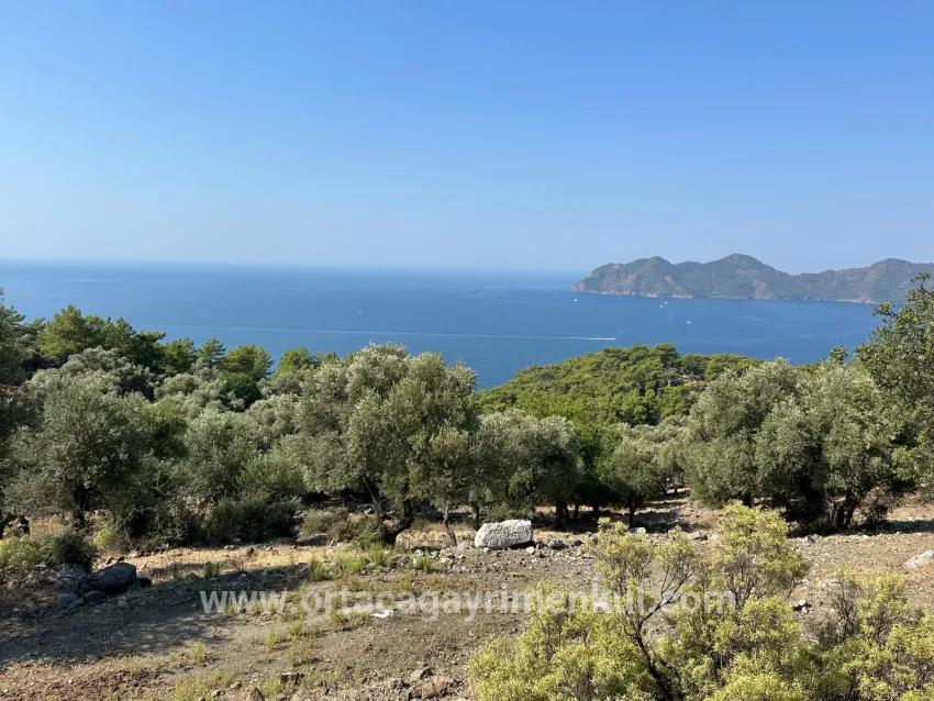 Feld Zu Verkaufen in Çandır Bz. Köyceğiz - Feld-Zonierung - 21.000 m²