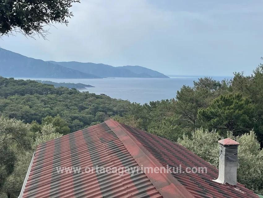 Feld Zu Verkaufen in Ekincik Bz. Köyceğiz - Olive-Zonierung - 7.000 m²