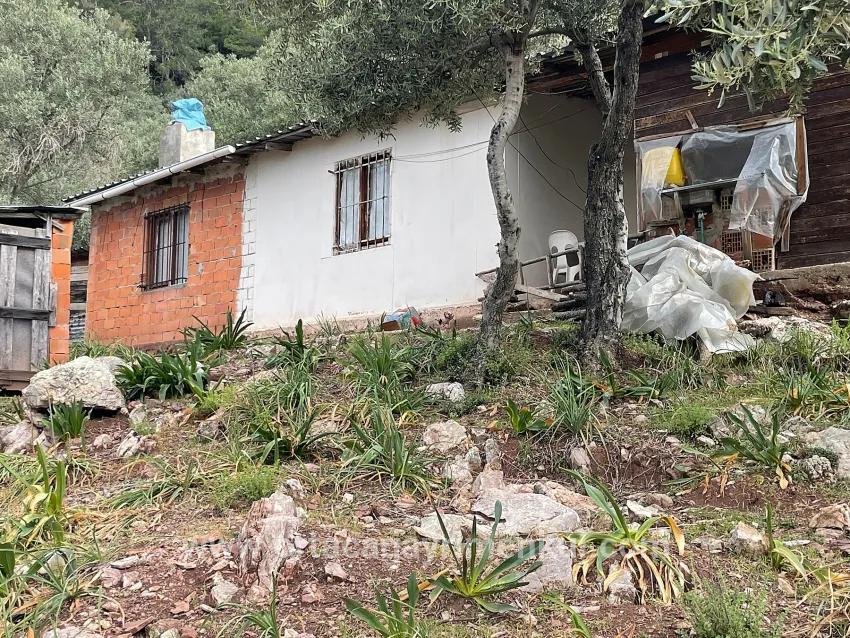 Feld Zu Verkaufen in Ekincik Bz. Köyceğiz - Olive-Zonierung - 7.000 m²