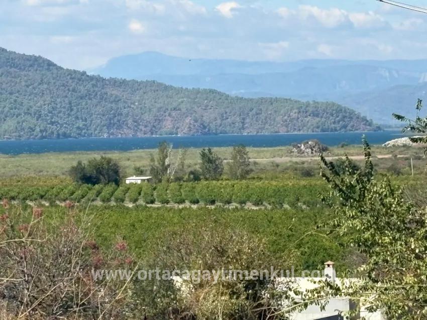 Feld Zu Verkaufen in Dalyan Bz. Ortaca - Feld-Zonierung - 5.000 m²