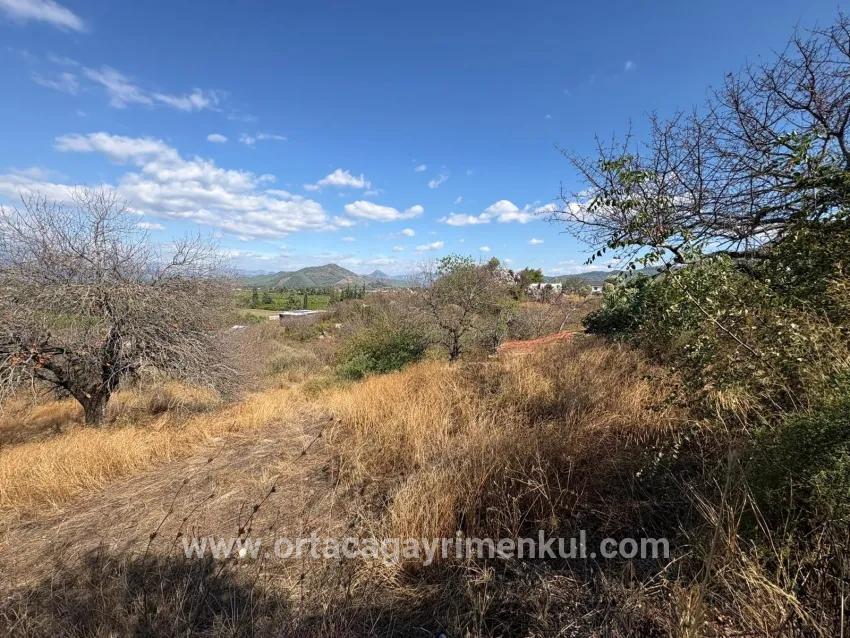 Feld Zu Verkaufen in Dalyan Bz. Ortaca - Feld-Zonierung - 5.000 m²