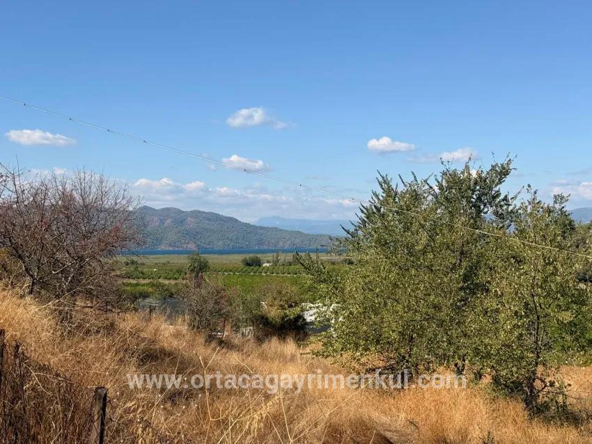 Feld Zu Verkaufen in Dalyan Bz. Ortaca - Feld-Zonierung - 5.000 m²