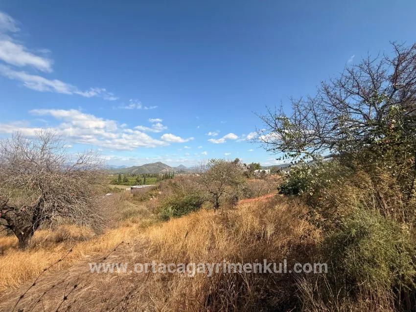 Feld Zu Verkaufen in Dalyan Bz. Ortaca - Feld-Zonierung - 5.000 m²