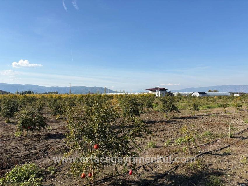 Feld Zu Verkaufen in Eskiköy Bz. Ortaca - Feld-Zonierung - 21.500 m²