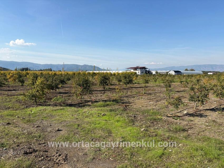 Feld Zu Verkaufen in Eskiköy Bz. Ortaca - Feld-Zonierung - 21.500 m²