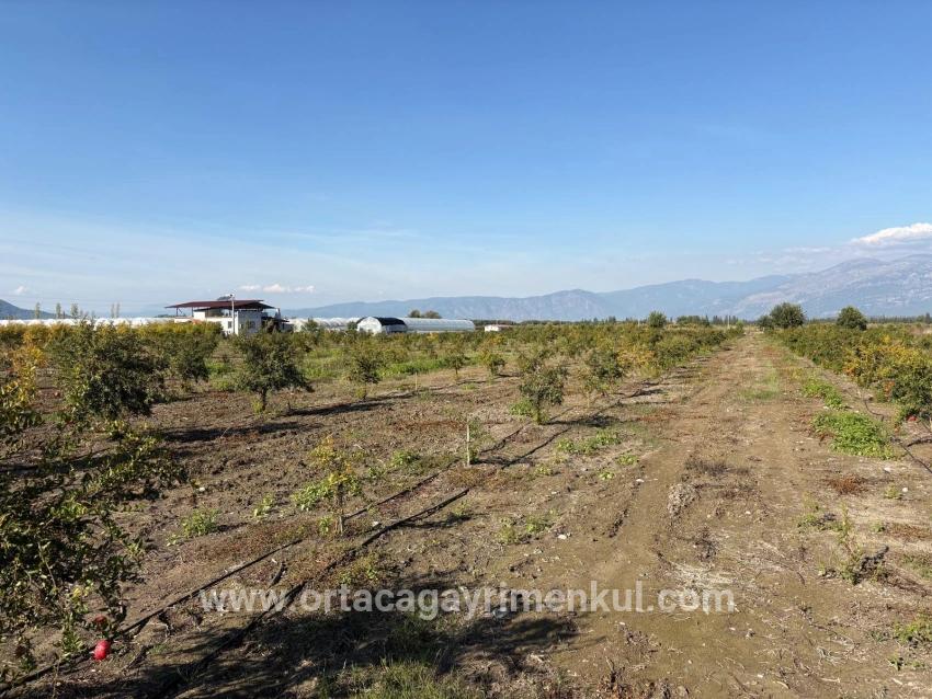 Feld Zu Verkaufen in Eskiköy Bz. Ortaca - Feld-Zonierung - 21.500 m²