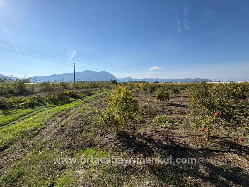 Feld Zu Verkaufen in Eskiköy Bz. Ortaca - Feld-Zonierung - 21.500 m²