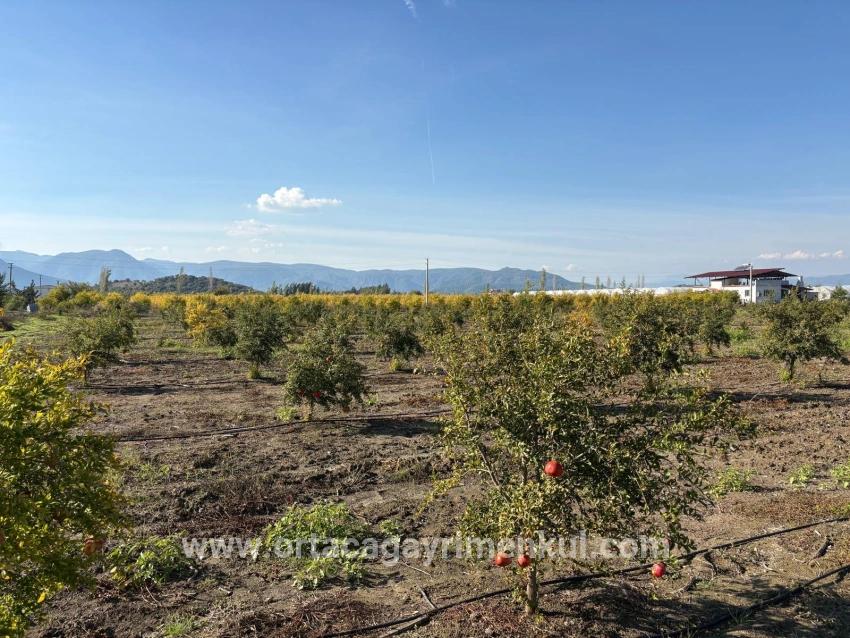 Feld Zu Verkaufen in Eskiköy Bz. Ortaca - Feld-Zonierung - 21.500 m²