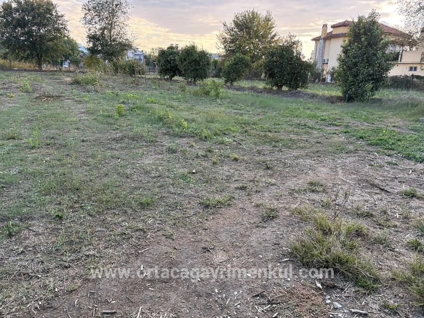 Land Zu Verkaufen in Dalyan Bz. Ortaca - Gehäuse-Zonierung - 7.450 m²