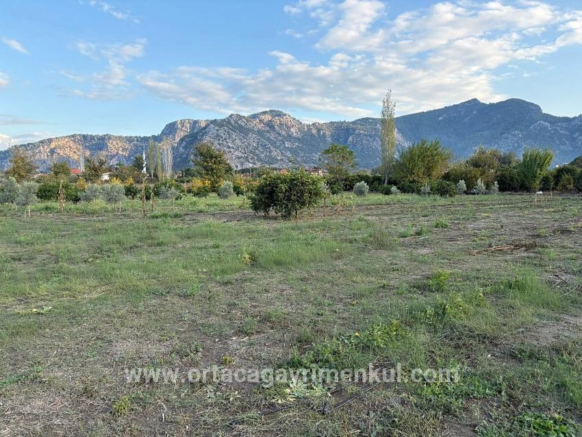 Land Zu Verkaufen in Dalyan Bz. Ortaca - Gehäuse-Zonierung - 7.450 m²