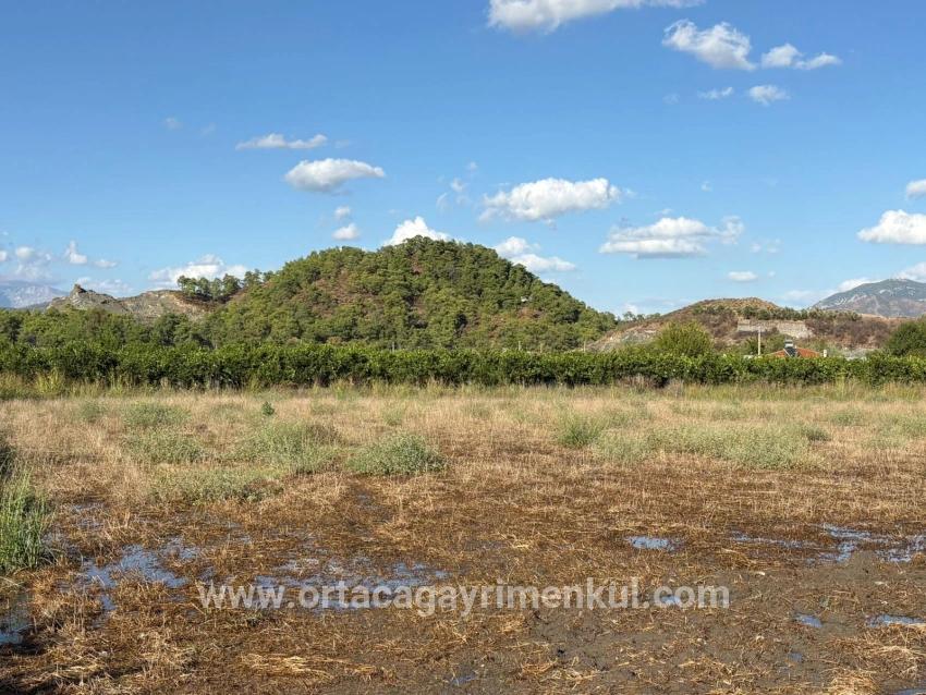 Land Zu Verkaufen in Yeşilyurt Bz. Ortaca - Gehäuse-Zonierung - 3.999 m²