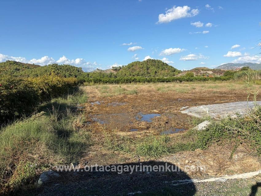 Land Zu Verkaufen in Yeşilyurt Bz. Ortaca - Gehäuse-Zonierung - 3.999 m²