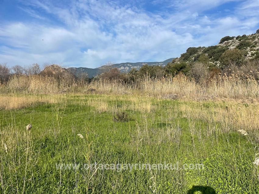 Land Zu Verkaufen in Dalyan Bz. Ortaca - Gehäuse-Zonierung - 6.800 m²