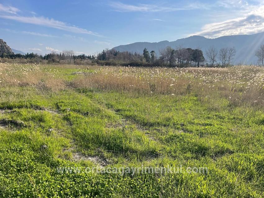 Land Zu Verkaufen in Dalyan Bz. Ortaca - Gehäuse-Zonierung - 6.800 m²