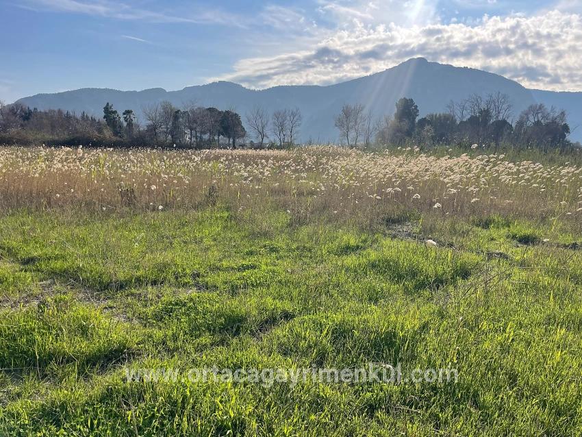 Land Zu Verkaufen in Dalyan Bz. Ortaca - Gehäuse-Zonierung - 6.800 m²
