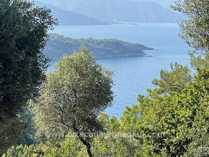 Feld Zu Verkaufen in Çandır Bz. Köyceğiz - Gehäuse-Zonierung - 10.481 m²