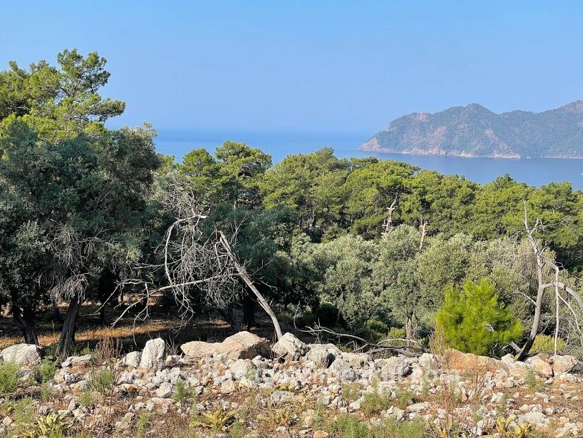 Feld Zu Verkaufen in Çandır Bz. Köyceğiz - Gehäuse-Zonierung - 10.481 m²