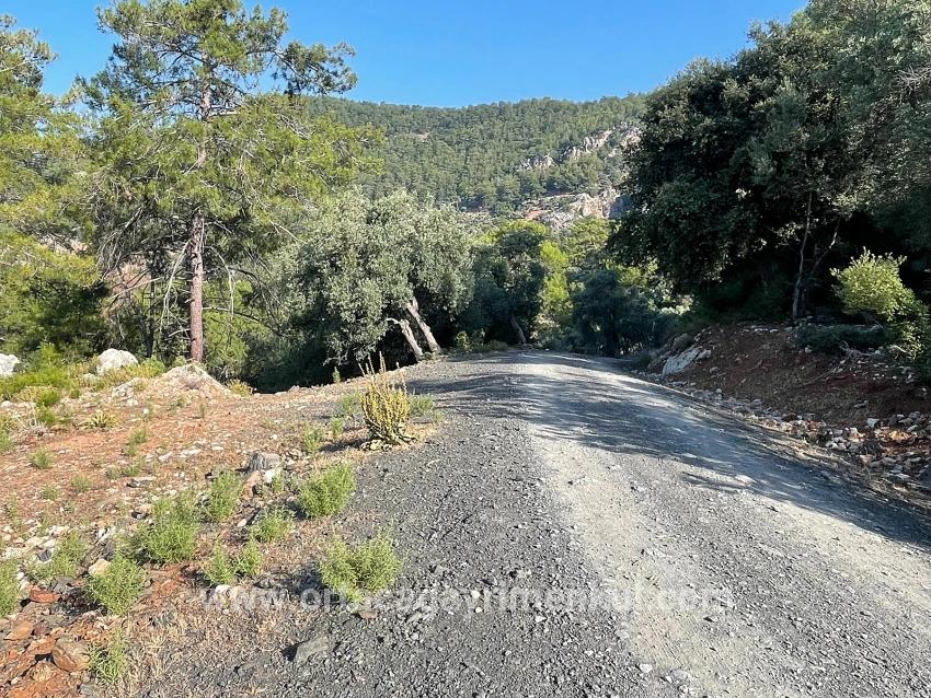 Feld Zu Verkaufen in Çandır Bz. Köyceğiz - Gehäuse-Zonierung - 10.481 m²