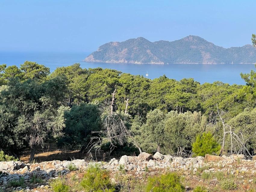 Feld Zu Verkaufen in Çandır Bz. Köyceğiz - Gehäuse-Zonierung - 10.481 m²