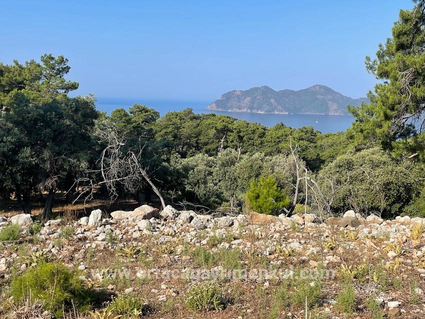 Feld Zu Verkaufen in Çandır Bz. Köyceğiz - Gehäuse-Zonierung - 10.481 m²