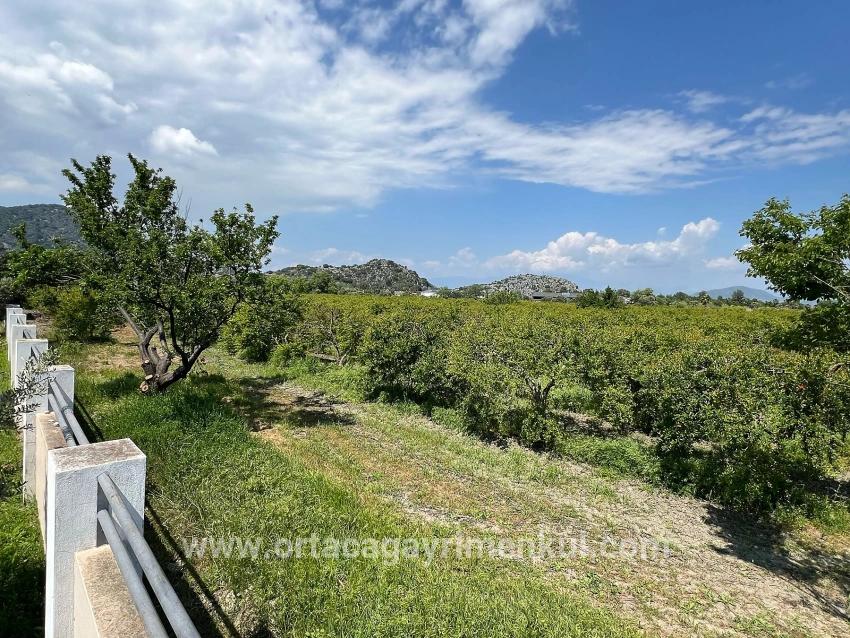 Land Zu Verkaufen in Dalyan Bz. Ortaca - Gehäuse-Zonierung - 5.100 m²