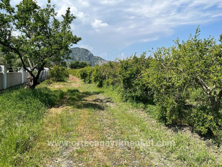 Land Zu Verkaufen in Dalyan Bz. Ortaca - Gehäuse-Zonierung - 5.100 m²