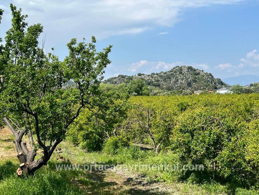 Land Zu Verkaufen in Dalyan Bz. Ortaca - Gehäuse-Zonierung - 5.100 m²