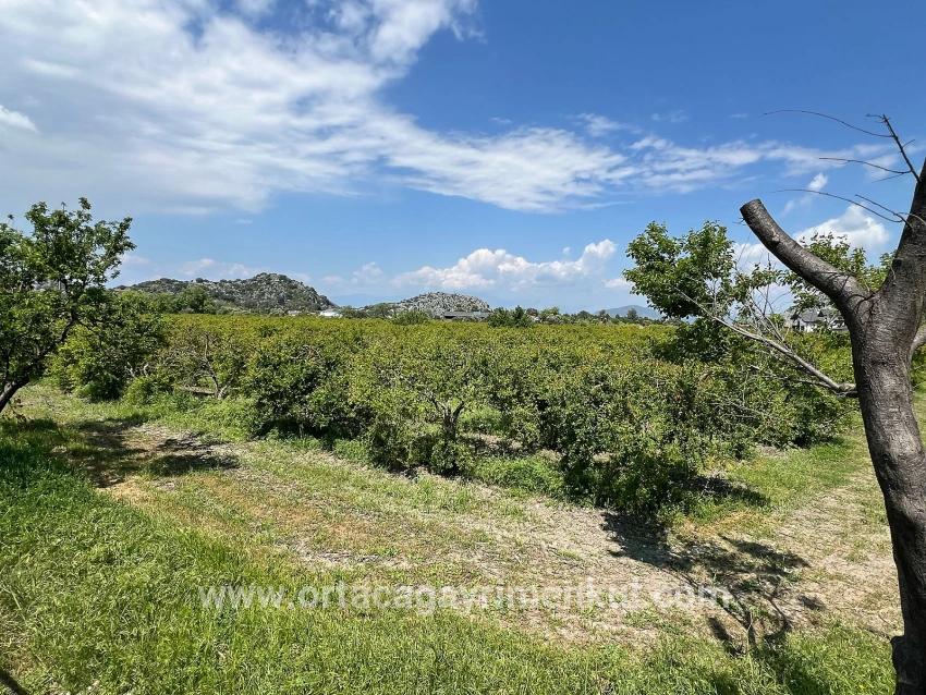 Land Zu Verkaufen in Dalyan Bz. Ortaca - Gehäuse-Zonierung - 5.100 m²