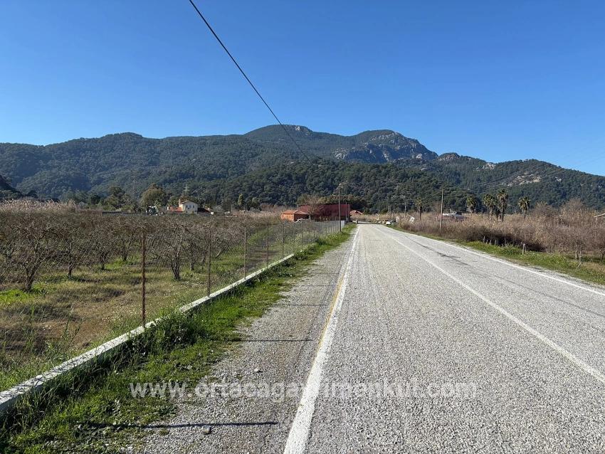 Land Zu Verkaufen in Dalyan Bz. Ortaca - Gehäuse-Zonierung - 5.985 m²