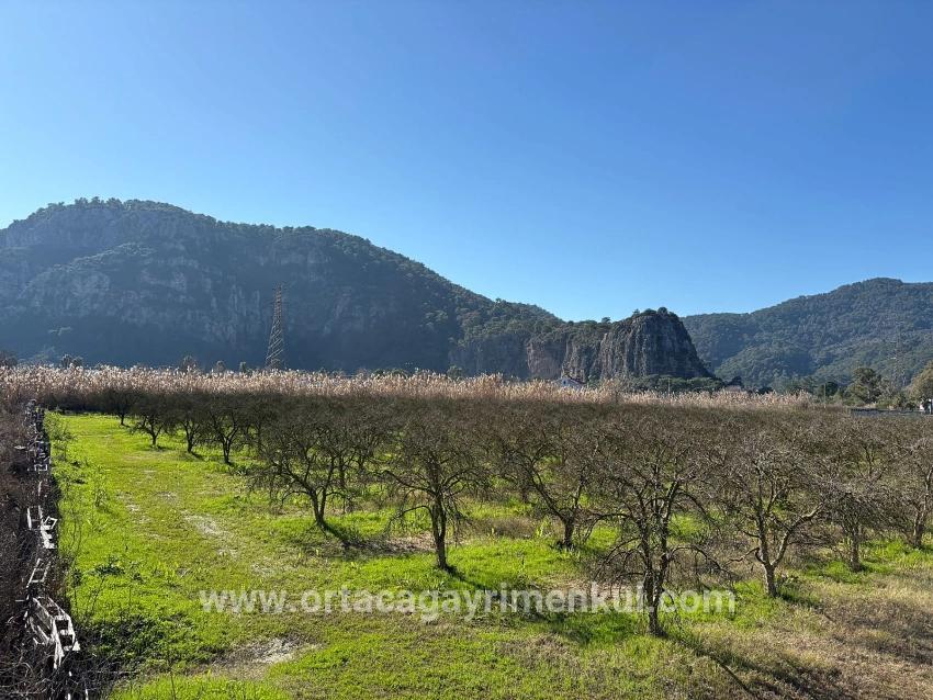 Land Zu Verkaufen in Dalyan Bz. Ortaca - Gehäuse-Zonierung - 5.985 m²