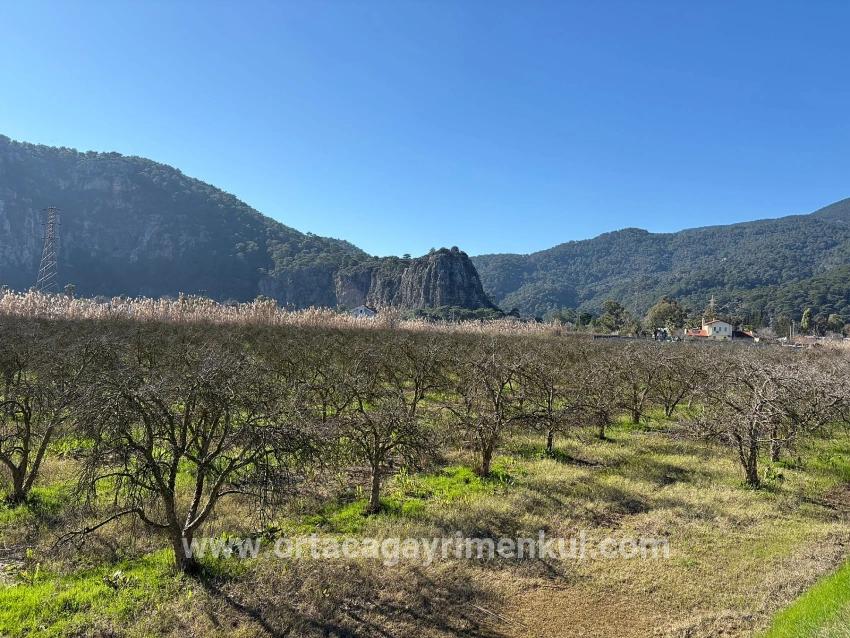 Land Zu Verkaufen in Dalyan Bz. Ortaca - Gehäuse-Zonierung - 5.985 m²