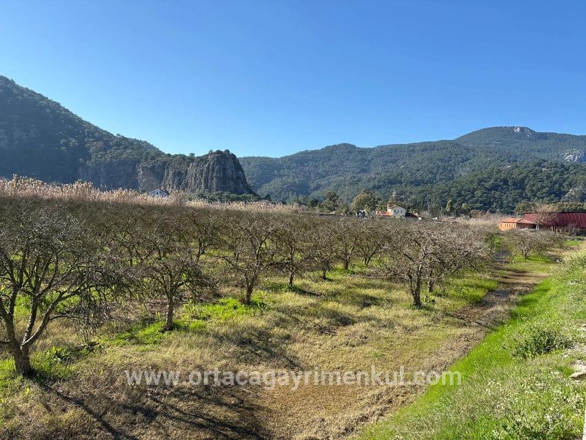 Land Zu Verkaufen in Dalyan Bz. Ortaca - Gehäuse-Zonierung - 5.985 m²