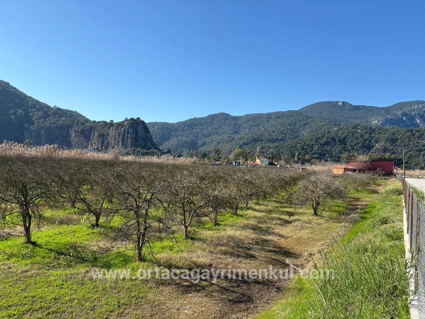 Land Zu Verkaufen in Dalyan Bz. Ortaca - Gehäuse-Zonierung - 5.985 m²