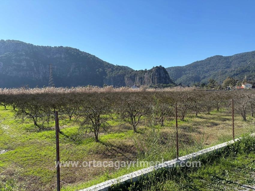 Land Zu Verkaufen in Dalyan Bz. Ortaca - Gehäuse-Zonierung - 5.985 m²