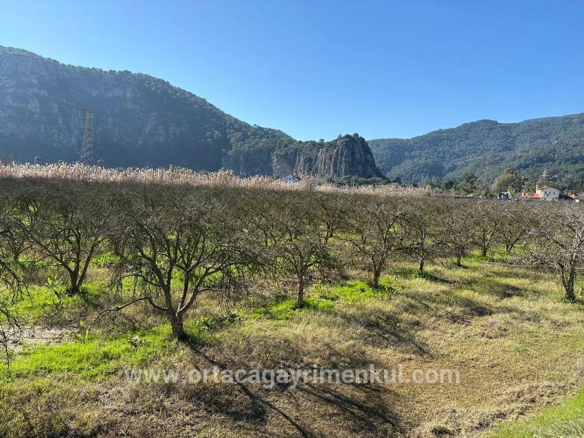 Land Zu Verkaufen in Dalyan Bz. Ortaca - Gehäuse-Zonierung - 5.985 m²