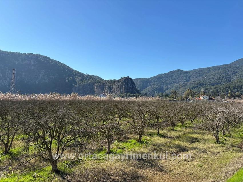 Land Zu Verkaufen in Dalyan Bz. Ortaca - Gehäuse-Zonierung - 5.985 m²