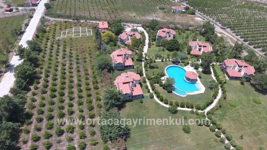 Land Zu Verkaufen in Çandır Bz. Köyceğiz - Gehäuse-Zonierung - 5.900 m²