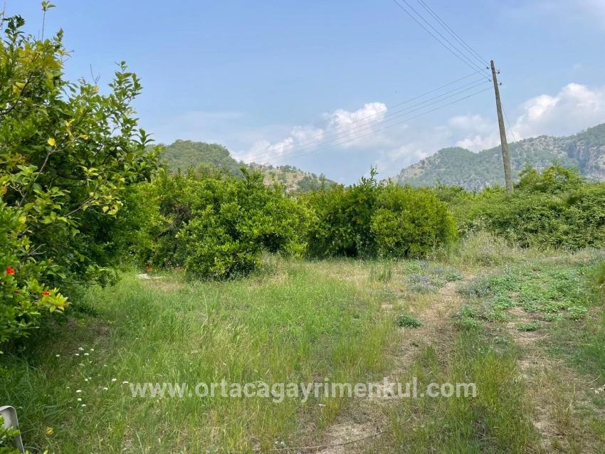 Feld Zu Verkaufen in Gökbel Bz. Ortaca - Gehäuse-Zonierung - 7.800 m²