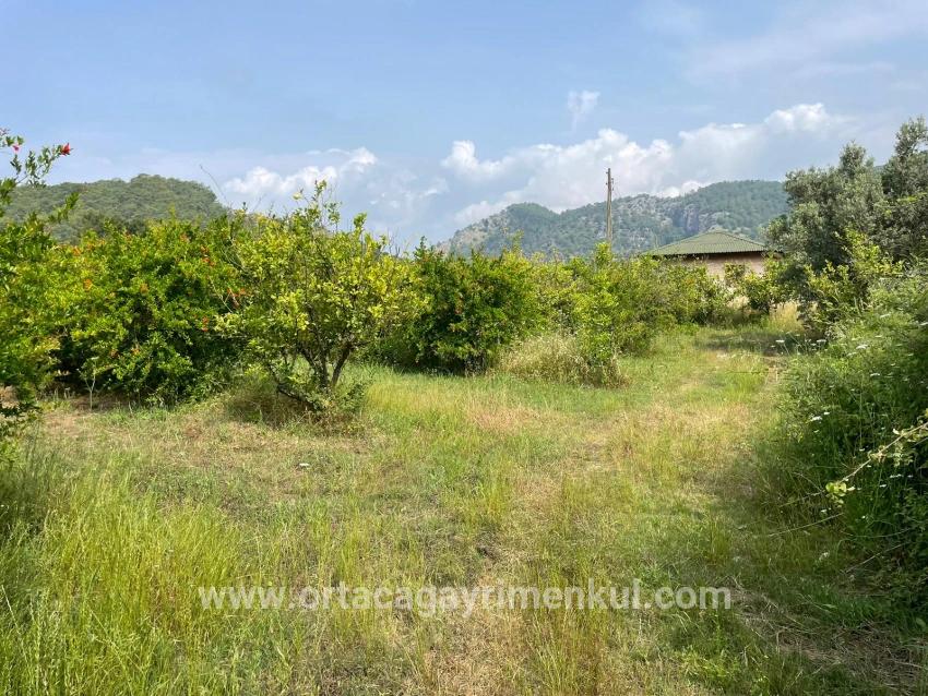 Feld Zu Verkaufen in Gökbel Bz. Ortaca - Gehäuse-Zonierung - 7.800 m²