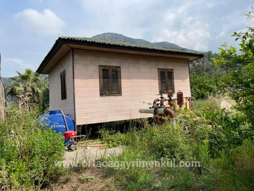 Feld Zu Verkaufen in Gökbel Bz. Ortaca - Gehäuse-Zonierung - 7.800 m²