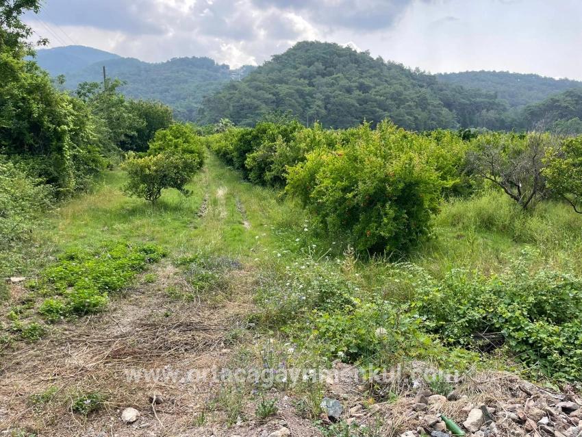 Feld Zu Verkaufen in Gökbel Bz. Ortaca - Gehäuse-Zonierung - 7.800 m²