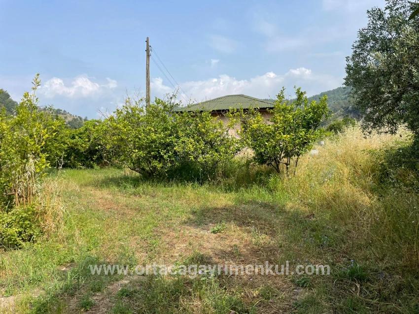 Feld Zu Verkaufen in Gökbel Bz. Ortaca - Gehäuse-Zonierung - 7.800 m²